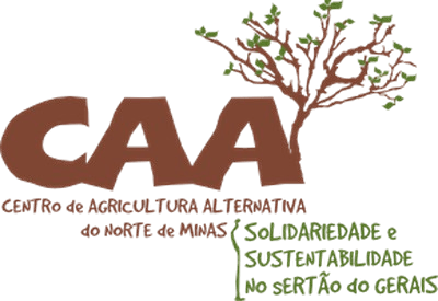 Logo CAA/NM